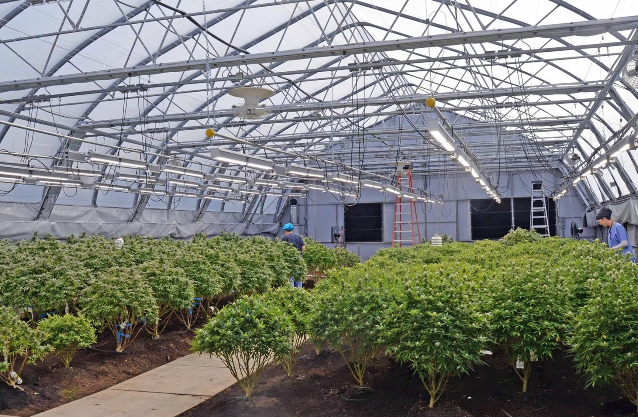 4,000 sq ft greenhouse