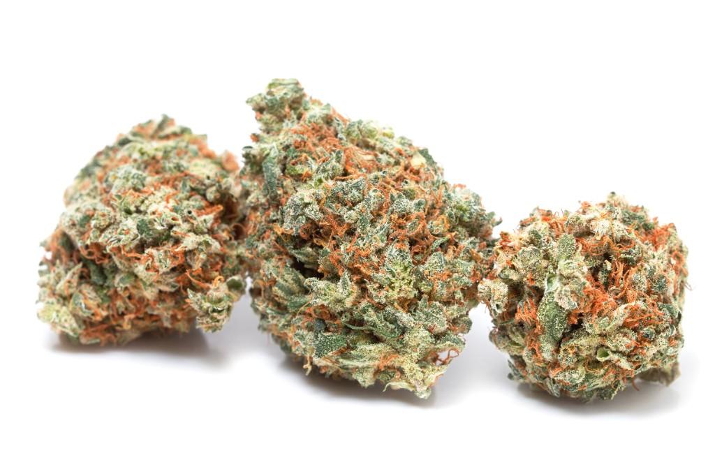 plc medical flower - Jack Herer