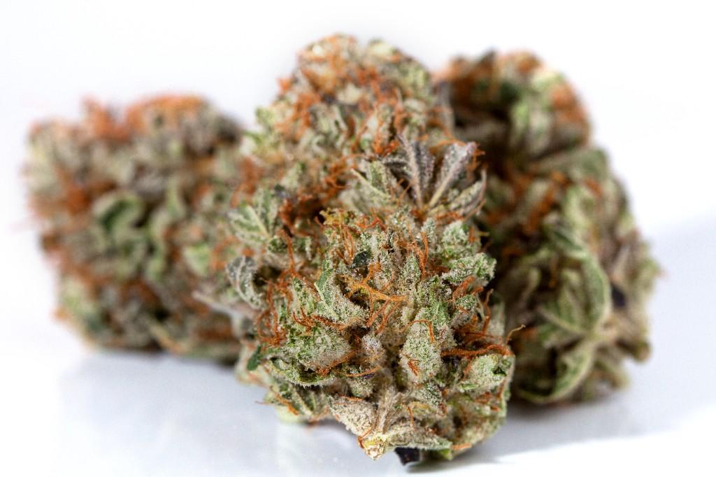 plc flower - Rockstar Kush